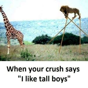 Meet your Posher, Blen